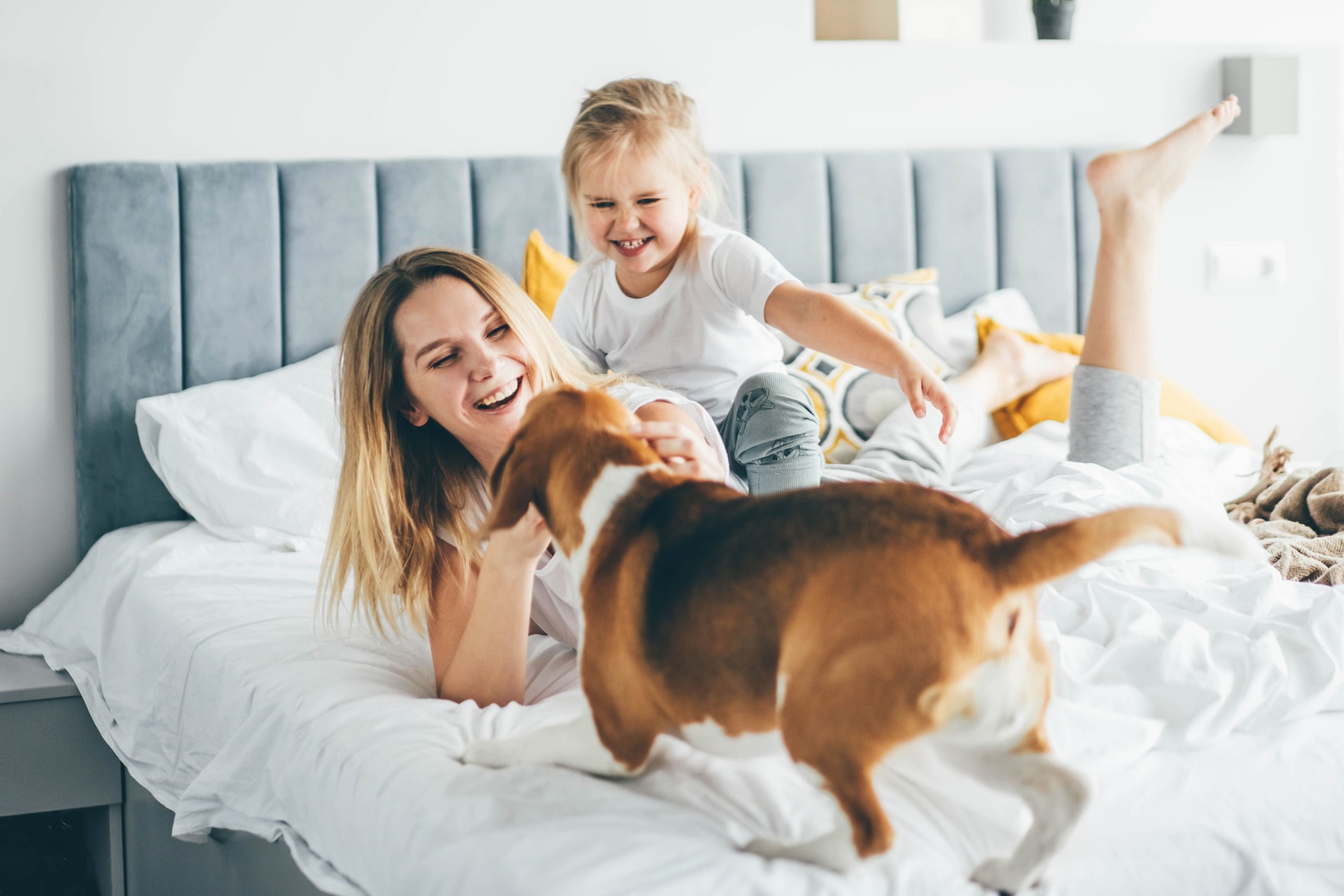 Buying a home with Sears estate agents in Bracknell